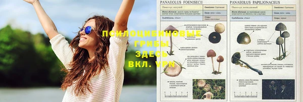 каннабис Волоколамск