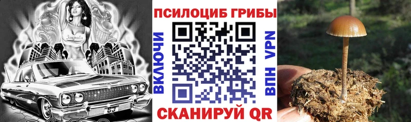 Галлюциногенные грибы Cubensis Назарово