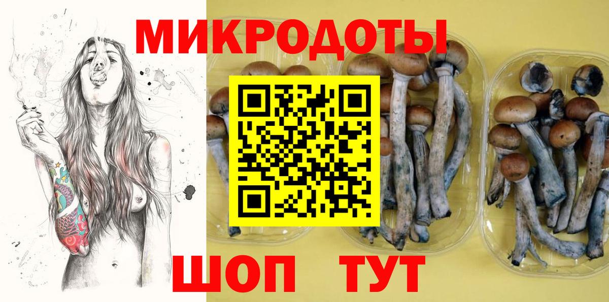 Псилоцибиновые грибы GOLDEN TEACHER Назарово